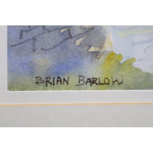 455 - An Original Framed and Glazed Brian Barlow Watercolour Depicting Cottages at Downham, Approx 20