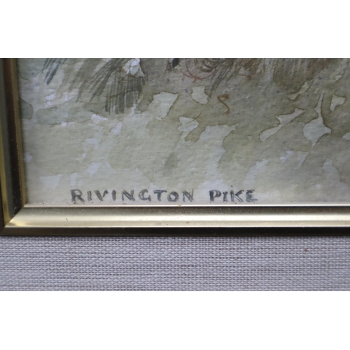 456 - Ann Tout Signed Watercolour in Framed and Glazed Mount Depicting Rivington Pike (16