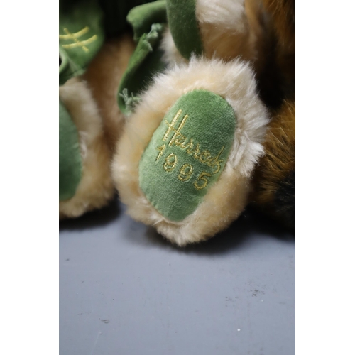 868 - Run of Official Harrods Teddy Bears Dating From 1988 to 1995