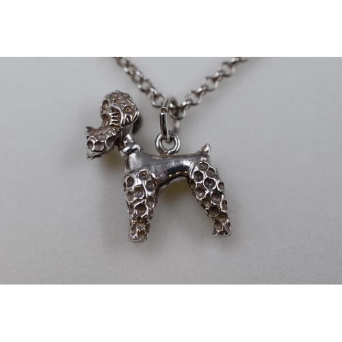 101 - Silver 925 Necklace with Dog Pendant, Complete in Presentation Box