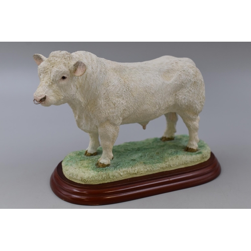 284 - A Border Fine Arts Charolais Bull A0738 Figure, On Wooden Plinth. Approx 6