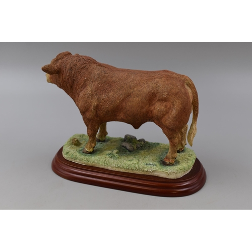 286 - A Border Fine Arts A0739 Limousin Bull Figure on Wooden Plinth, Approx 6