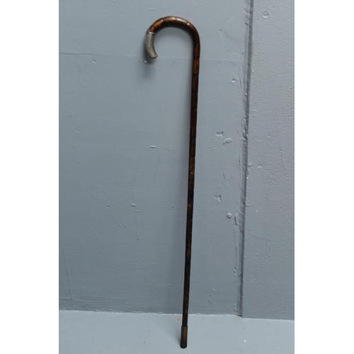 333 - A Hallmarked Birmingham Silver Tipped Walking Stick, Circa 1904. Approx 30