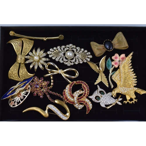 121 - Selection of Approx. Fifteen Brooches in display Box