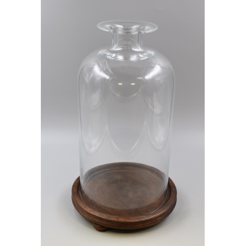 363 - Large Glass Dome Standing on Wooden Plinth (Ideal for Planting or Taxidermy) 18