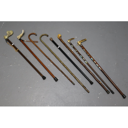 644 - A Selection of Eight Vintage Walking Sticks To Include Possibly Silver Banded, Hip Bone, And More