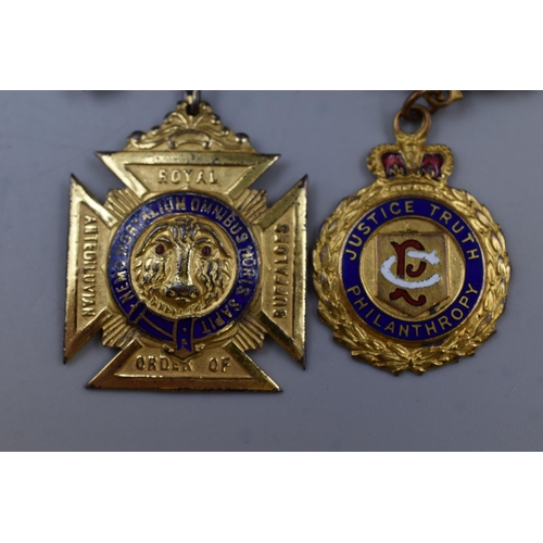 311 - Royal Order of Antediluvian Buffaloes badges 1950 awarded to Bro. Harry Riding raised 2-2-1950 Lord ... 