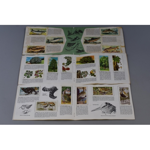 499 - Three Brooke Bond picture card books, Trees in Britain, Freshwater fish and wild birds in Britain (A... 