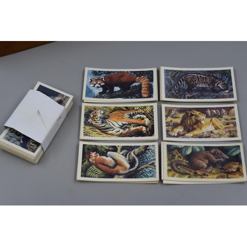 339 - Collection of Vintage Brooke Bond Tea and Other Collectors Cards to include Asian Wildlife, British ... 