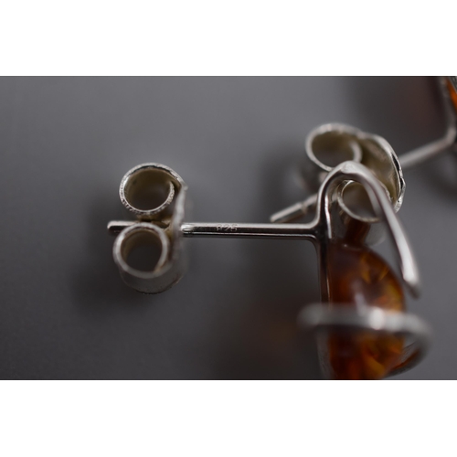 71 - Five Pairs of Silver 925 Amber Earrings