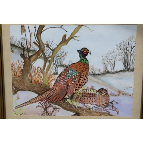 373 - Roosting Grouse by Mrs Mowien Pollit 1988, Water colour framed picture signed by S Pritchett and Car... 