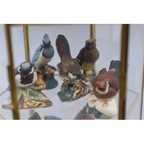 220 - Thirteen vintage bird porcelain decorative figures completed in mini display cabinet (display cabine... 