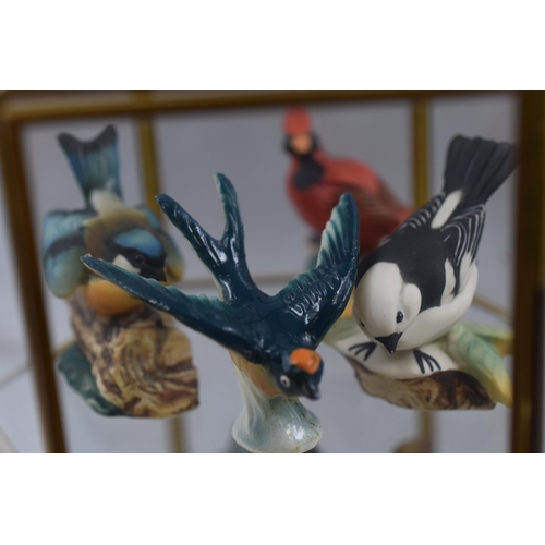 220 - Thirteen vintage bird porcelain decorative figures completed in mini display cabinet (display cabine... 