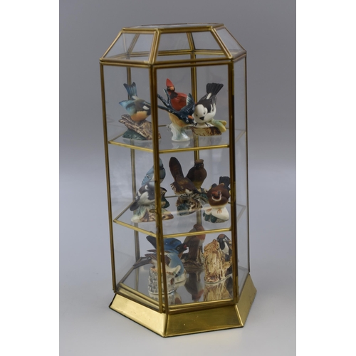 220 - Thirteen vintage bird porcelain decorative figures completed in mini display cabinet (display cabine... 