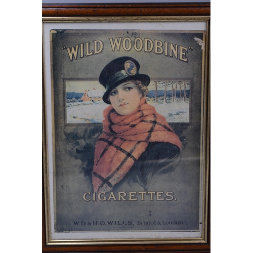 381 - Two vintage framed adverts for Wills Woodbines