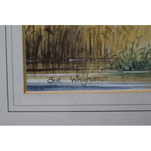 382 - Two framed water coloured painting by Sue Whigham (21 1/2