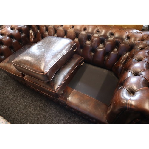 568 - Chesterfield style Brown Leather Roll Back Studded Sofa (71”)