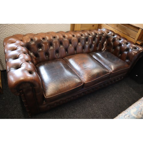 568 - Chesterfield style Brown Leather Roll Back Studded Sofa (71”)