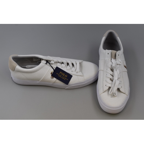 659 - Pair of New Ralph Lauren Polo Sayer Canvass Trainers (Size 13) with Tags