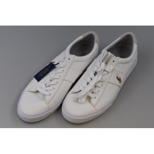 659 - Pair of New Ralph Lauren Polo Sayer Canvass Trainers (Size 13) with Tags