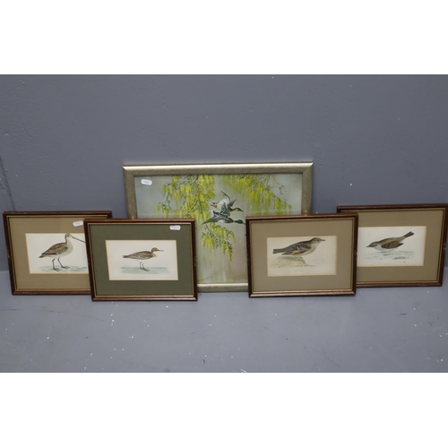 696 - Five Ornithological Framed and Glazed Prints To Include Vernan Ward, Great Snipe, Peep, And More. La... 