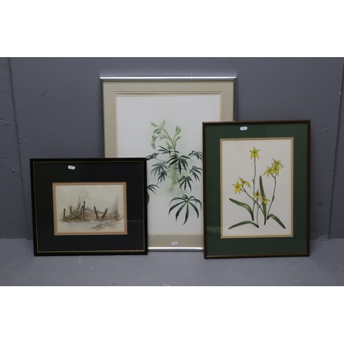 694 - Three Framed and Glazed Artpieces To Include John Lyndon Stubbs, Limited Edition Tas Orchids By Susa... 