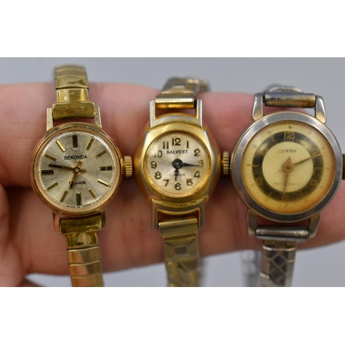 110 - Three Ladies Watches to include Sekonda in display box