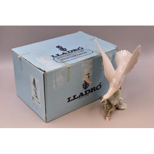 277 - A Boxed Lladro 4550 Turtle Dove Porcelain Figure, Approx. 11