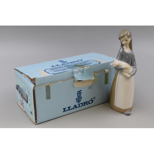 237 - Boxed Lladro Girl With Piglet No.1011 (7