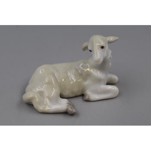 244 - Boxed Lladro Lamb No.5317 (2 1/2