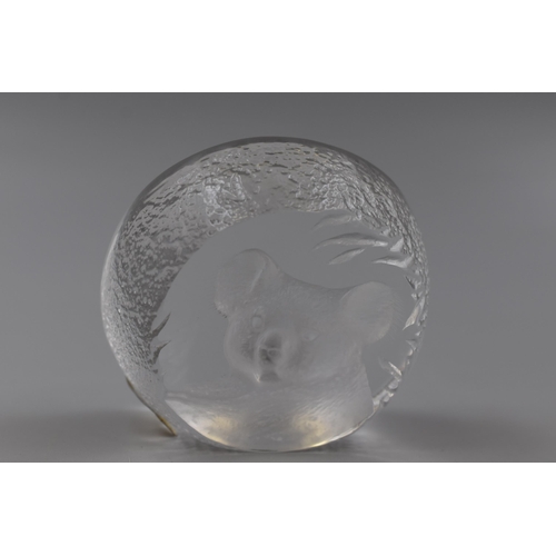 203 - Mats Jonasson Koala Bear Art Glass Paperweight