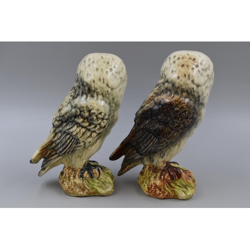 301 - Two Hand Painted Ceramic Owl Ornament's (8