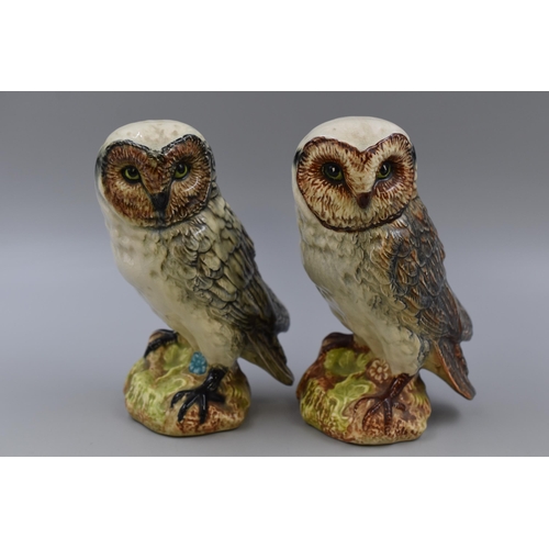 301 - Two Hand Painted Ceramic Owl Ornament's (8