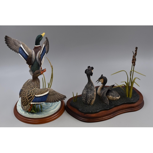 302 - Two Border Fine Arts Figurines to Include Game Birds Mallards A1391 and WW3 Courting Grebes (A/F) (1... 