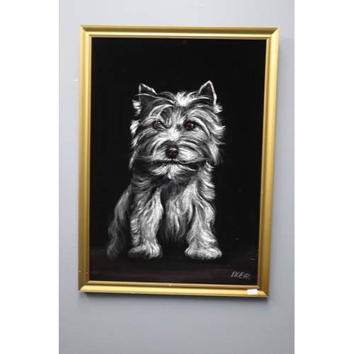 372 - Robert Ixer Oil on Velvet Painting of Dog in Framed Mount (26