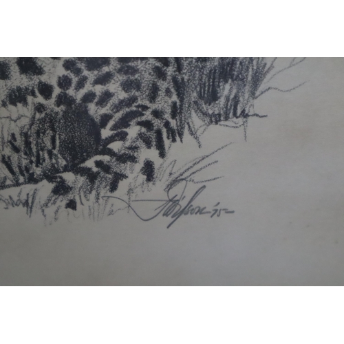 374 - Two Signed Wildlife Prints of Cheetah and Hedgehog (Largest 21