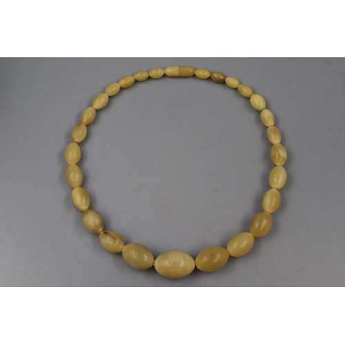 56 - Stunning Vintage Graduating Butterscotch Amber Necklace