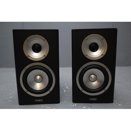 537 - AE Radiance one 120w (8ohms) speakers (working when tested)