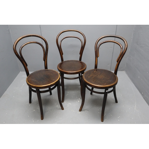 552 - Three Early 20th Century Mundus Bentwood Chairs AF