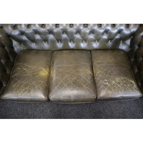 587 - Very Dark Green Chesterfield Button Rolled Back Three Seater Leather Sofa (5' 6