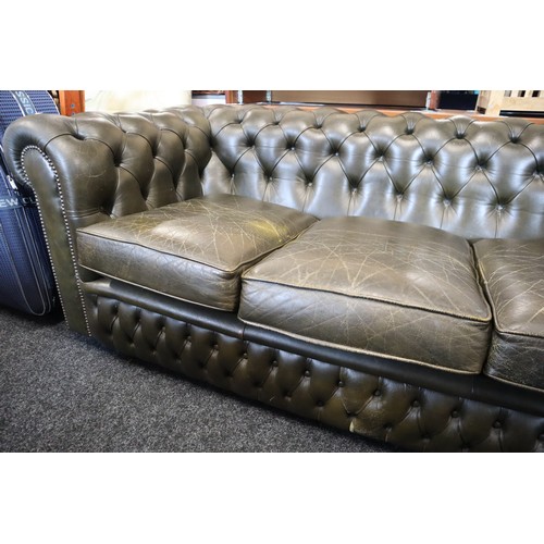 587 - Very Dark Green Chesterfield Button Rolled Back Three Seater Leather Sofa (5' 6