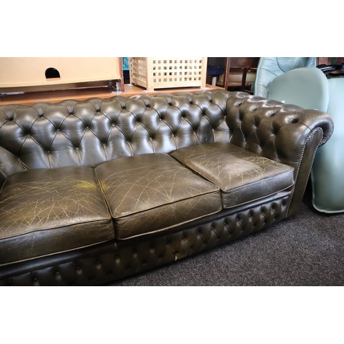 587 - Very Dark Green Chesterfield Button Rolled Back Three Seater Leather Sofa (5' 6