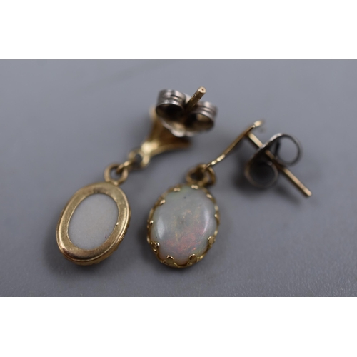 37 - Unmarked 9ct Gold Opal Earrings with Silver Backs Complete with Presentation Box