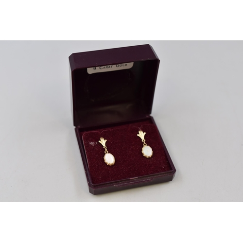 37 - Unmarked 9ct Gold Opal Earrings with Silver Backs Complete with Presentation Box