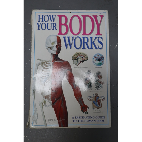 LARGE Vintage Medical Explorative "How Your Body Works" Book with Very Interesting poster Size Pages 24"x 16"