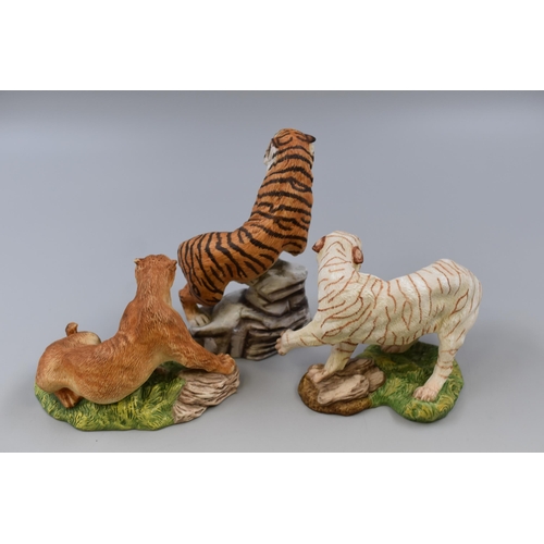 206 - Two Tigers and One Lion Figurines 'The Great Cats of The World' to Include Asiatic Lioness, White Be... 