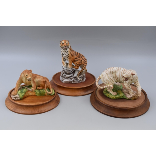 206 - Two Tigers and One Lion Figurines 'The Great Cats of The World' to Include Asiatic Lioness, White Be... 