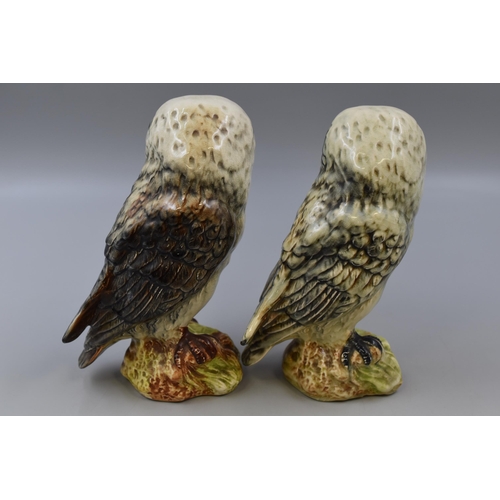 207 - Pair of Hand Painted Studio Pottery Owl Figures (8