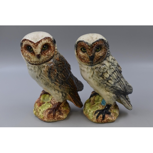 207 - Pair of Hand Painted Studio Pottery Owl Figures (8