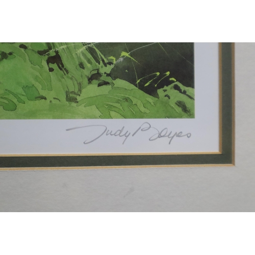 492 - Judy Boyes: Two Signed Framed and Glazed Limited Edition Prints of Lake District Scenes One Depicts ... 